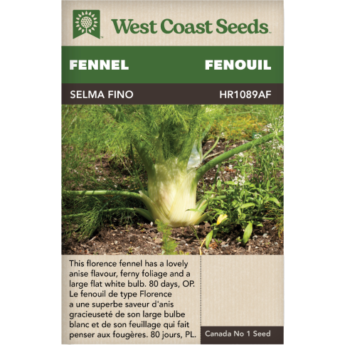 Selma Fino Fenouil Légumes Graines - West Coast Seeds