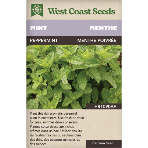 Menthe poivrée Peppermint Herbes Graines - West Coast Seeds