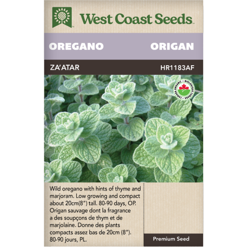 Zaatar Origan Herbes Graines Biologiques - West Coast Seeds