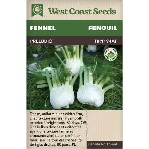 Preludio Ampoule Fenouil Légumes Graines Biologiques - West Coast Seeds