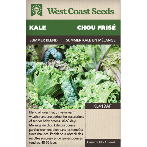 Summer Kale blend Kale Vegetables Seeds - West Coast Seeds