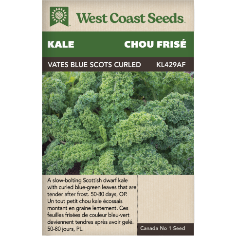 Vates Blue Curled Scotch Chou frisé Légumes Graines - West Coast Seeds