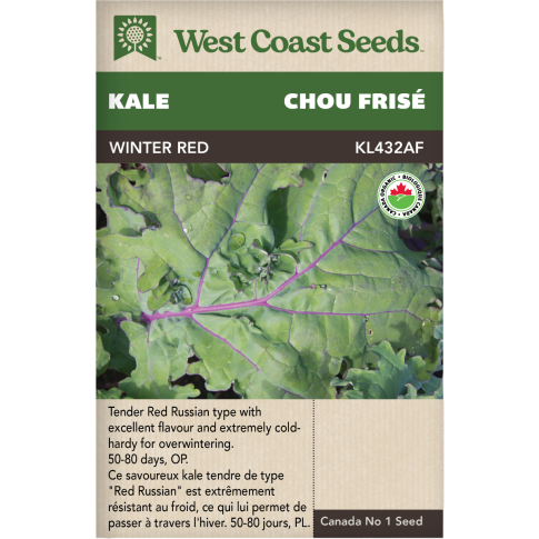 Winter Red Certified Organic Kale Vegetables Seeds - West Coast Seeds