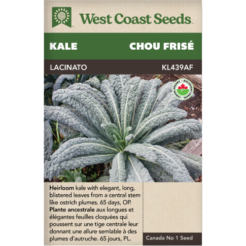 Lacinato Certified Organic Kale Vegetables Seeds - West Coast Seeds