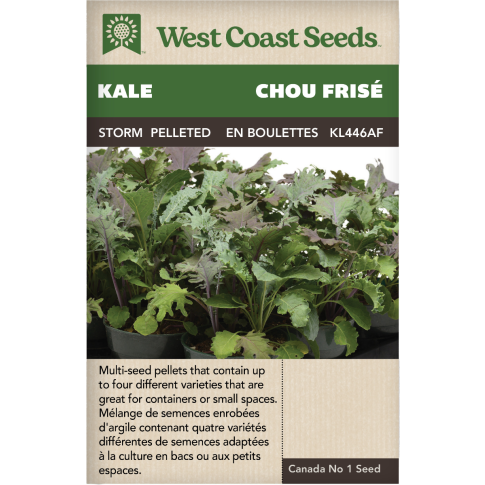 Storm en boulettes Chou frisé Légumes Graines - West Coast Seeds