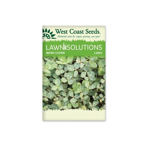 Microclover Raw Seeds Clover Vegetable Seeds - West Coast Seeds - LS802A