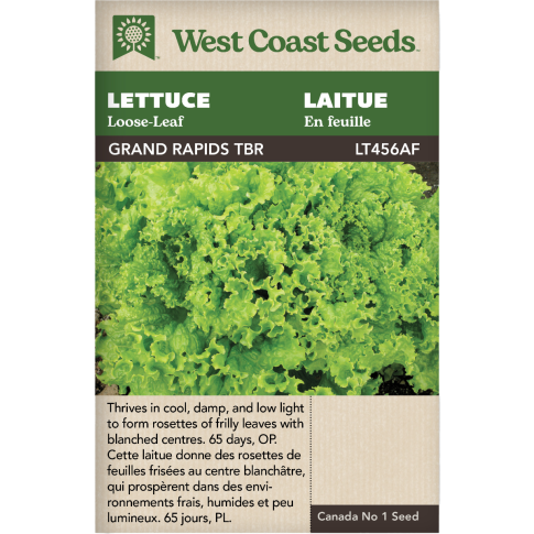 Grand Rapids TBR loose-leaf Lettuce Vegetables Seeds - West Coast Seeds