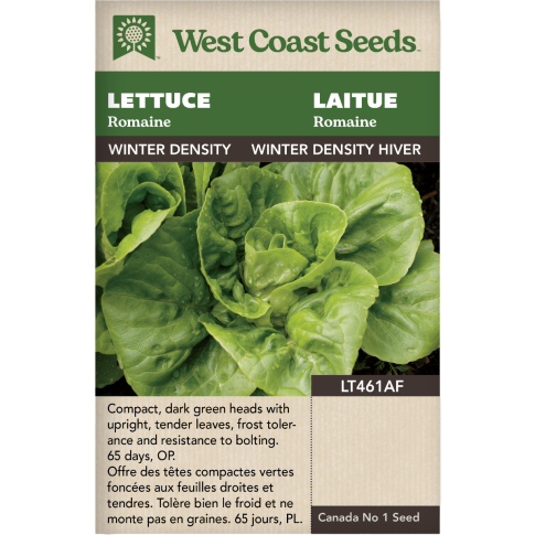 Winter Density Hiver Romaine Laitue Légumes Graines - West Coast Seeds