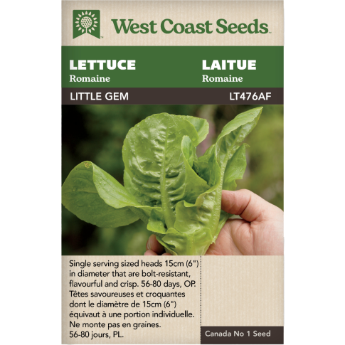 Little Gem Romaine Lettuce Vegetables Seeds - West Coast Seeds