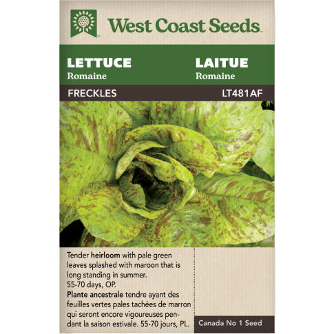 Freckles Romaine Lettuce Vegetables Seeds - West Coast Seeds