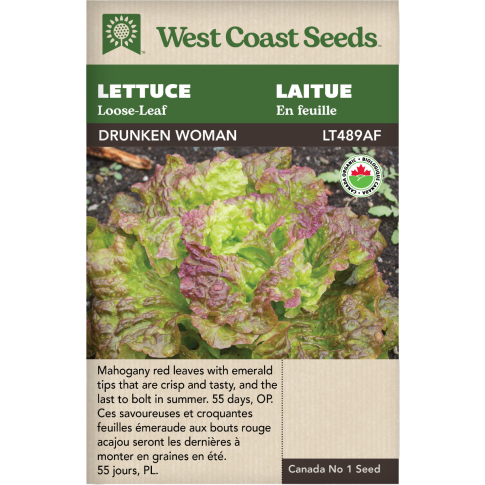 Drunken Woman Certified Organic Loose-leaf Lettuce Vegetables Seeds - West Coast Seeds