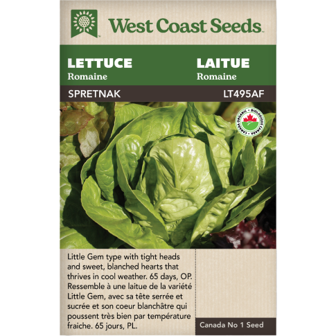 Spretnak Certified Organic Romaine Lettuce Vegetables Seeds - West Coast Seeds