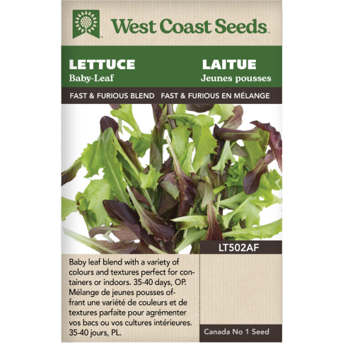 Fast and Furious Blend Certified Organic Blend Lettuce Vegetables Seeds - West Coast Seeds