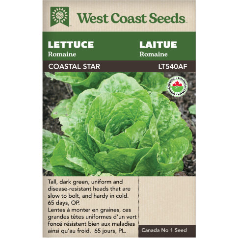 Coastal Star Certified Organic Cos/Romaine Lettuce Vegetables Seeds - West Coast Seeds