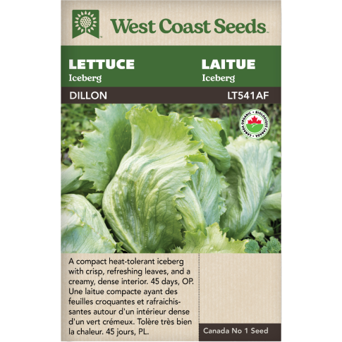 Dillon Certified Organic Iceberg Lettuce Vegetables Seeds - West Coast Seeds