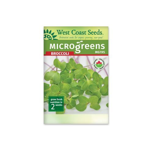 Microgreen Broccoli Certified Organic Seeds Broccoli Vegetable Seeds - West Coast Seeds - MG195A