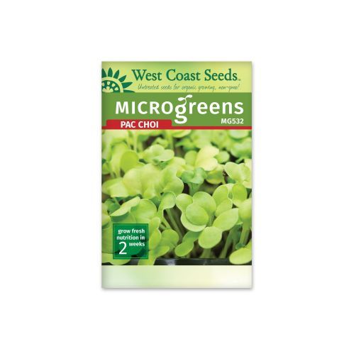 Microgreen Pac Choi Seeds Pac Choi Vegetable Seeds - West Coast Seeds - MG532A