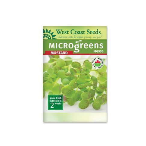 Microgreen Mustard Certified Organic Vegetable Seeds - West Coast Seeds - MG556A