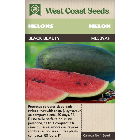 Black Beauty Mini Watermelon F1 Watermelon Melons Vegetables Seeds - West Coast Seeds