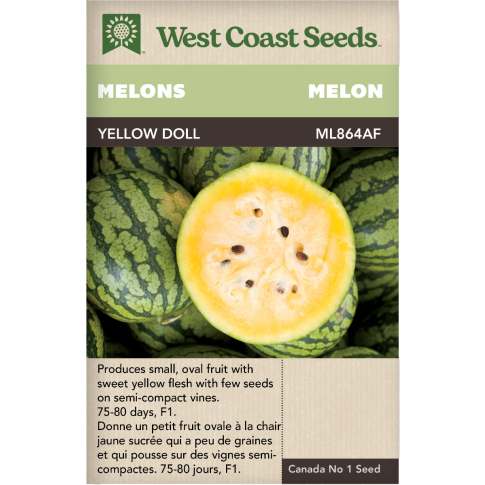 Yellow Doll (Baby) F1 Watermelon Melons Vegetables Seeds - West Coast Seeds
