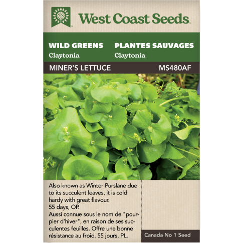 Miners Lettuce Claytonia Wild Greens Vegetables Seeds - West Coast Seeds