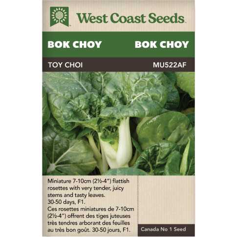 Toy Choy F1 Bok Choy Pac Choi Vegetables Seeds - West Coast Seeds