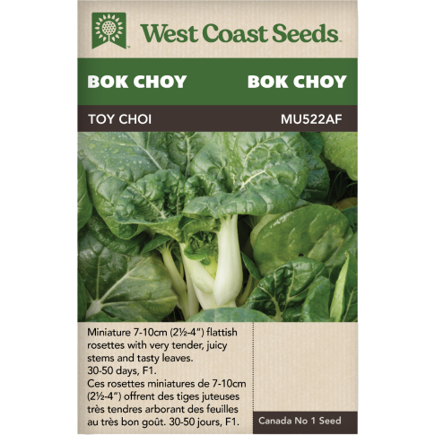 Toy Choy Bok Choy Pac Choi Légumes Graines - West Coast Seeds