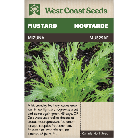 Mizuna Mizuna Mustard Vegetables Seeds - West Coast Seeds
