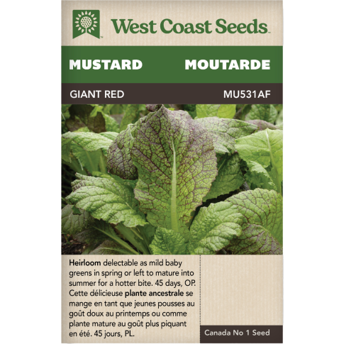 Giant Red Moutarde Légumes Graines Anciennes - West Coast Seeds