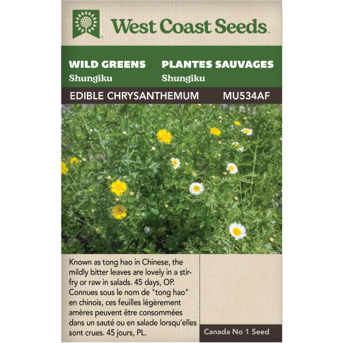 Frilly Edible Chrysanthemum Shungiku Wild Greens Vegetables Seeds - West Coast Seeds