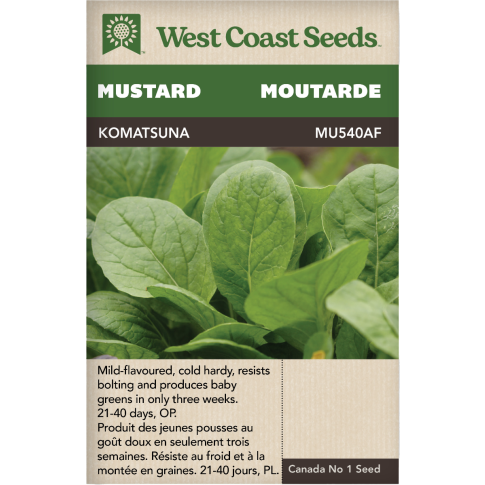 Komatsuna Vert Komatsuna Moutarde Légumes Graines - West Coast Seeds