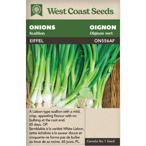 Eiffel Scallion Onions Vegetables Seeds - West Coast Seeds