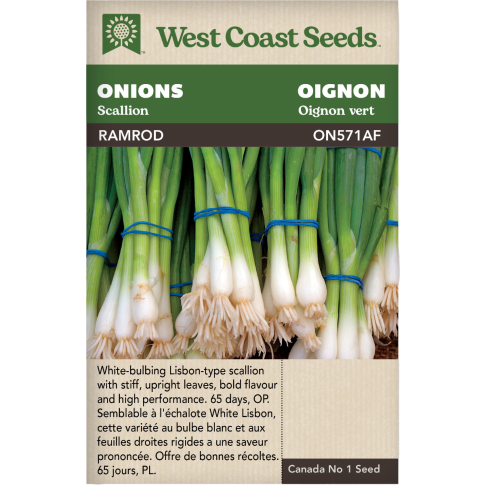 Ramrod Scallion Onions Vegetables Seeds - West Coast Seeds