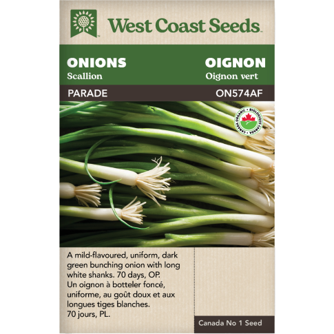 Parade (Coated) Certified Organic Scallion Onions Vegetables Seeds - West Coast Seeds