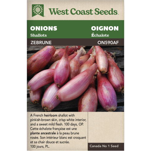 Zebrune Shallot Onions Vegetables Seeds - West Coast Seeds