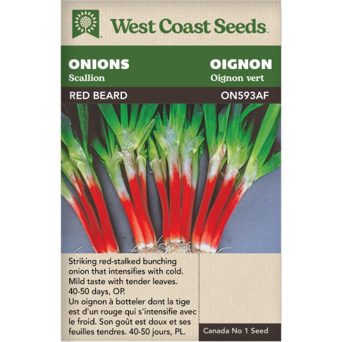 Red Beard Scallion Onions Vegetables Seeds - West Coast Seeds
