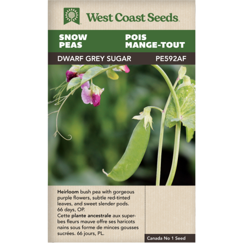 Dwarf Grey Sugar Snow Peas Vegetables Seeds - West Coast Seeds