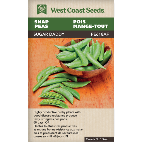 Sugar Daddy Snap Peas Vegetables Seeds - West Coast Seeds