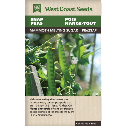 Mammoth Melting Sugar Snow Peas Vegetables Seeds - West Coast Seeds