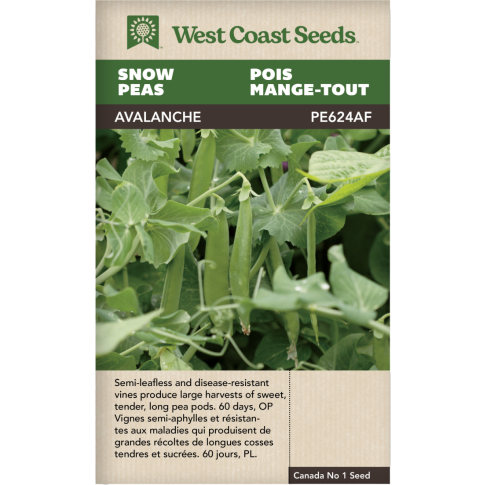 Avalanche Snow Peas Vegetables Seeds - West Coast Seeds