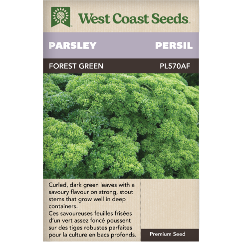 Forest Green Persil Herbes Graines - West Coast Seeds