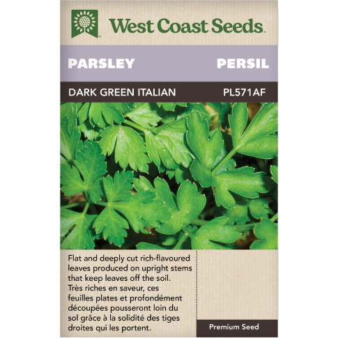 Dark Green Italian Plain Persil Herbes Graines - West Coast Seeds