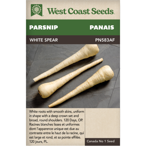 White Spear Parsnips Vegetables Seeds - West Coast Seeds
