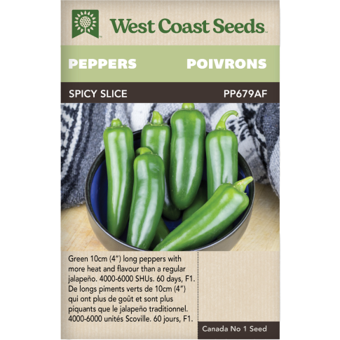 Spicy Slice F1 Jalapeno Hot Peppers Vegetables Seeds - West Coast Seeds