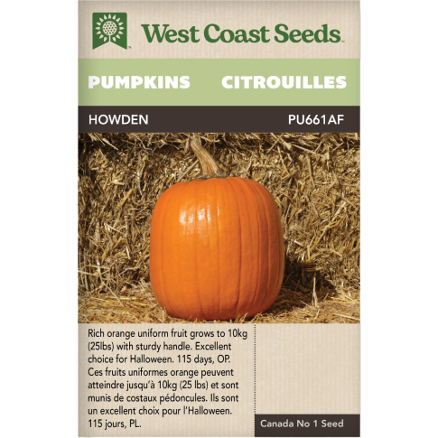 Howden Citrouilles Légumes Graines - West Coast Seeds