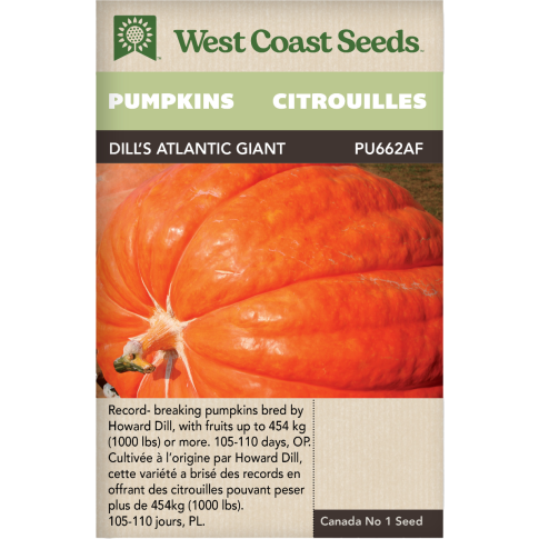 Dill’s Atlantic Giant Pumpkins Vegetables Seeds - West Coast Seeds