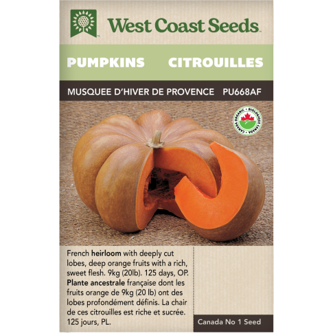 Musquee d’Hiver de Provence Certified Organic Pumpkins Vegetables Seeds - West Coast Seeds