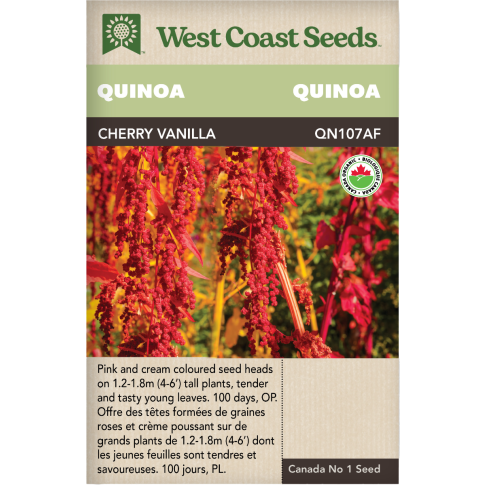 Cherry Vanilla Certified Organic Quinoa Vegetables Seeds - West Coast Seeds