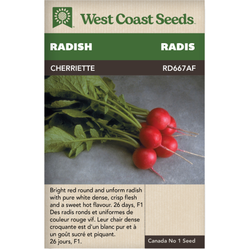 Cherriette Rouge Radis Légumes Graines - West Coast Seeds