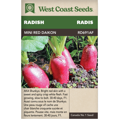 Mini Red Daikon Radishes Vegetables Seeds - West Coast Seeds